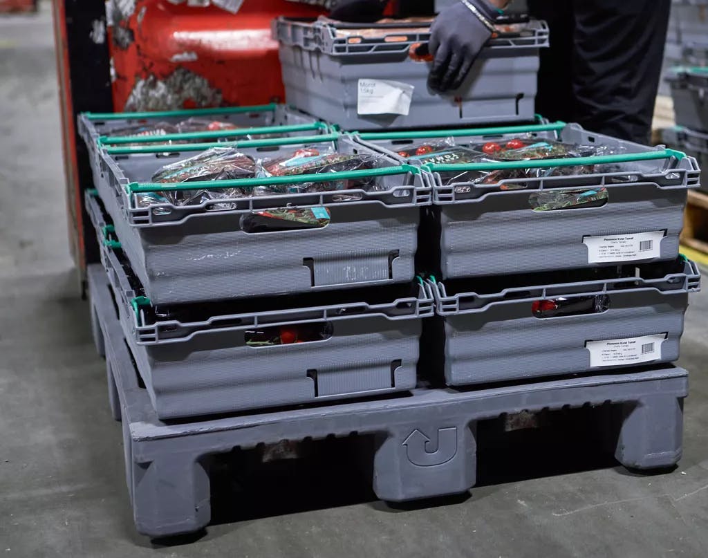 Staplade lådor på Hel pall grå och packade med tomater.