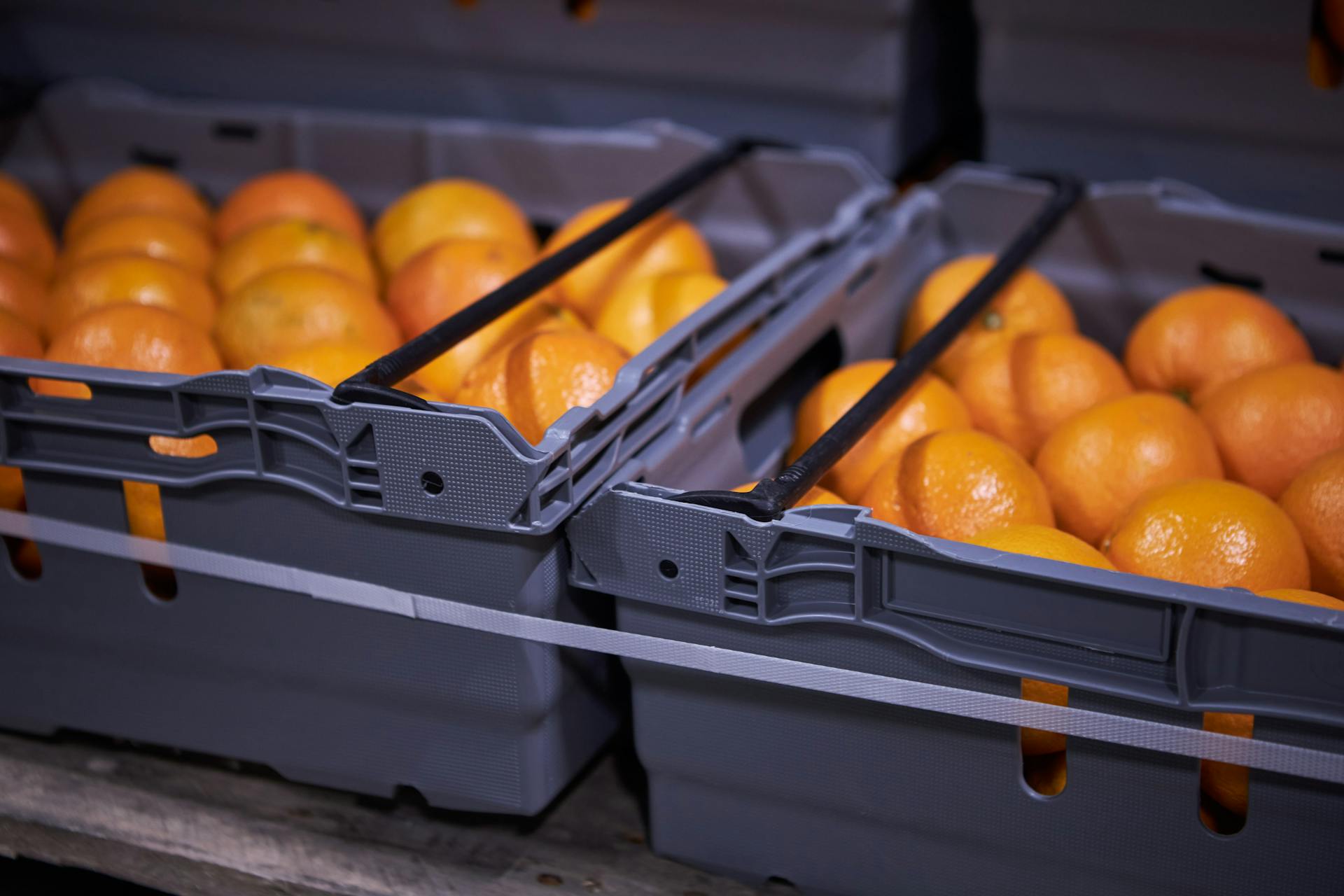Apelsiner i hellåda svart hos producent Everfresh